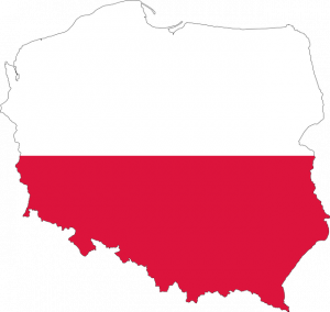 Haartransplantation Polen Haartransplantation Polen